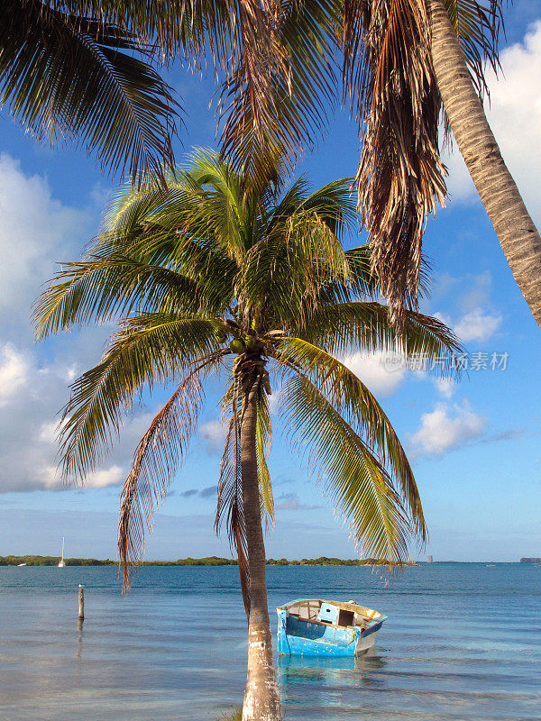 彩色的船在海湾，加勒比岛Isla Mujeres，墨西哥